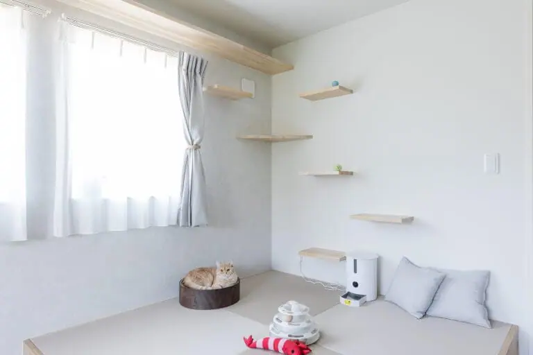 家事動線がコンパクトな猫と暮らす住まい